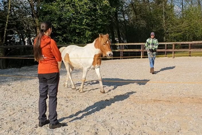 Loswerken Grondwerk Dubbele lange lijnen